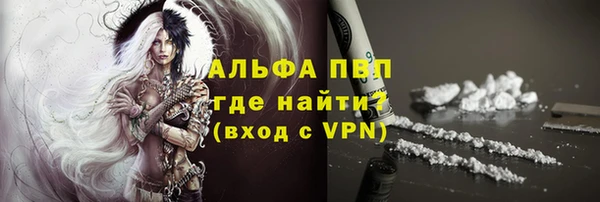 индика Абинск