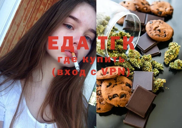 индика Абинск