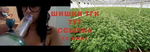 индика Абинск