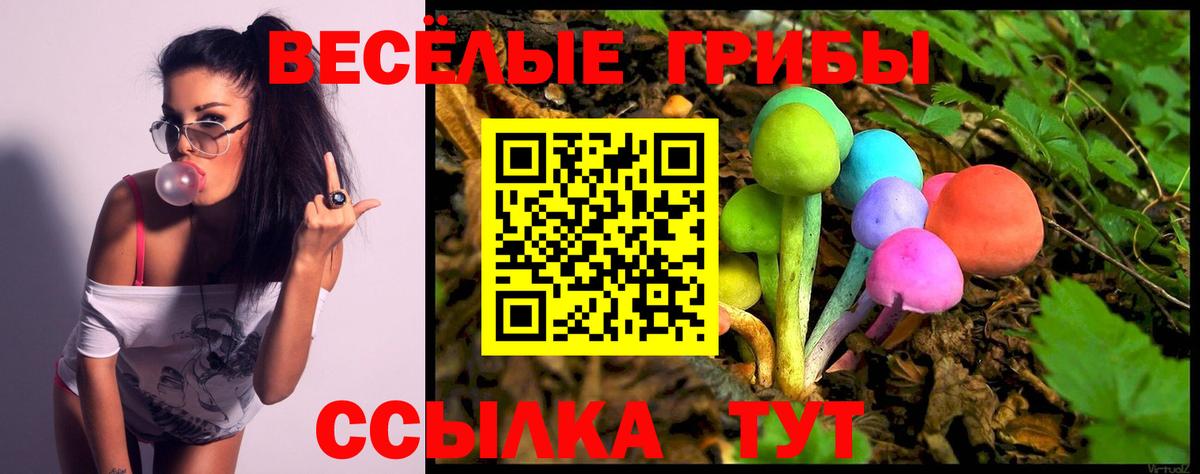 Галлюциногенные грибы Psilocybe Соликамск